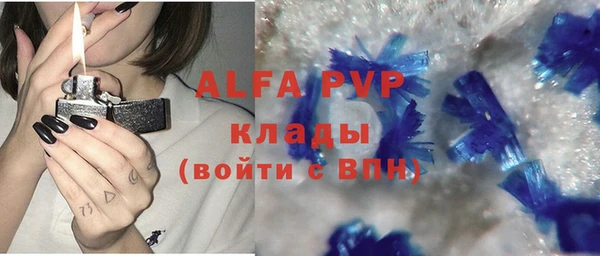 амф Каменка
