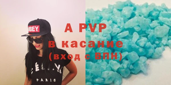 амф Каменка