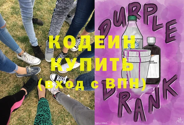 амф Каменка