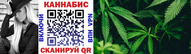 Шишки марихуана сатива  Купить закладки  Заводоуковск 